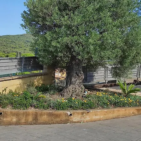 El Mirador * Tordera